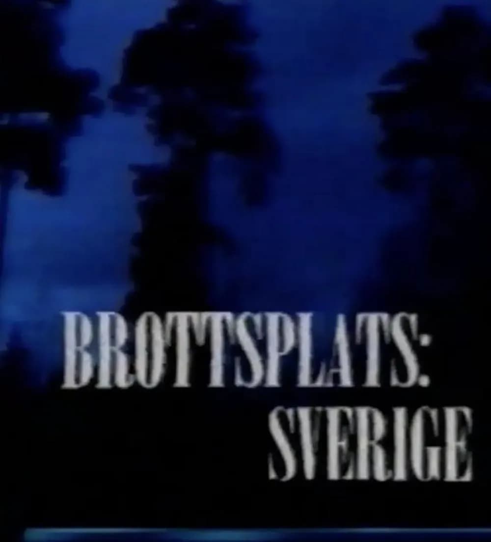 Sweden's Crime-Solving TV Show: Public Appeals Meet Police Work