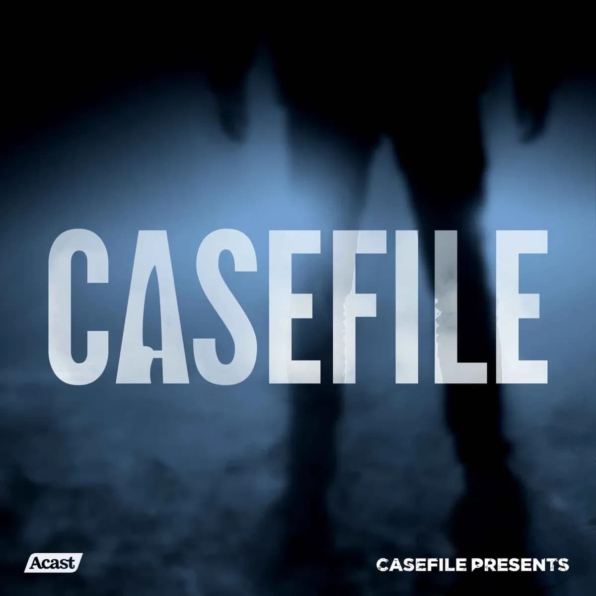 Casefile True Crime: afslører kriminalitetens dybder