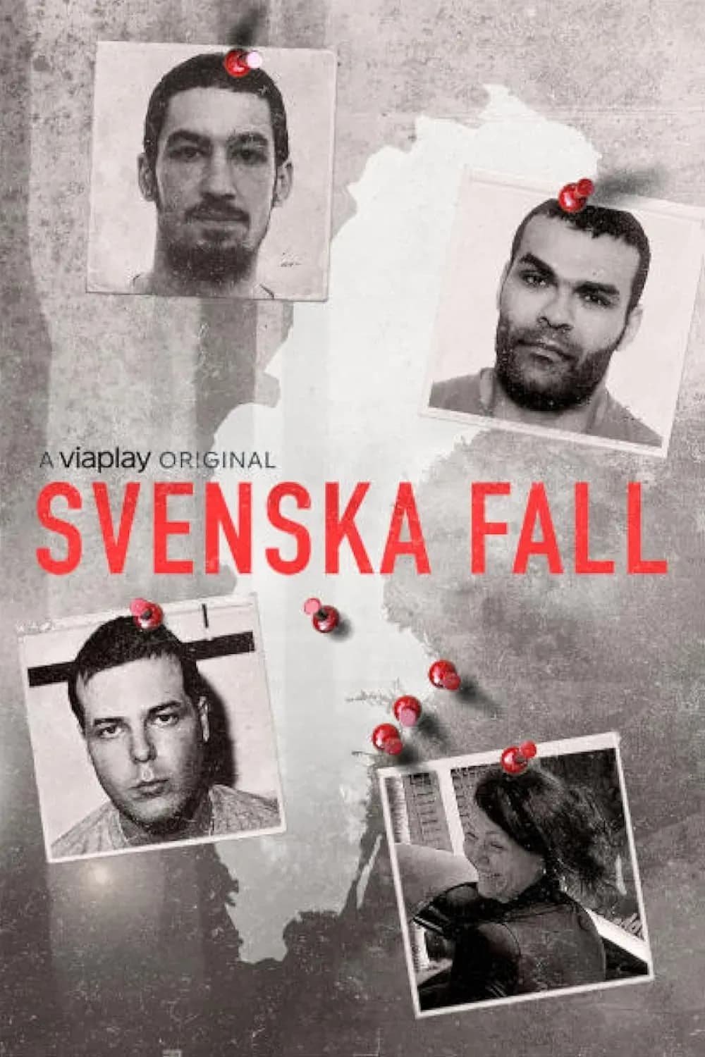 Svenska fall fascinerer med komplekst retssystemperspektiv
