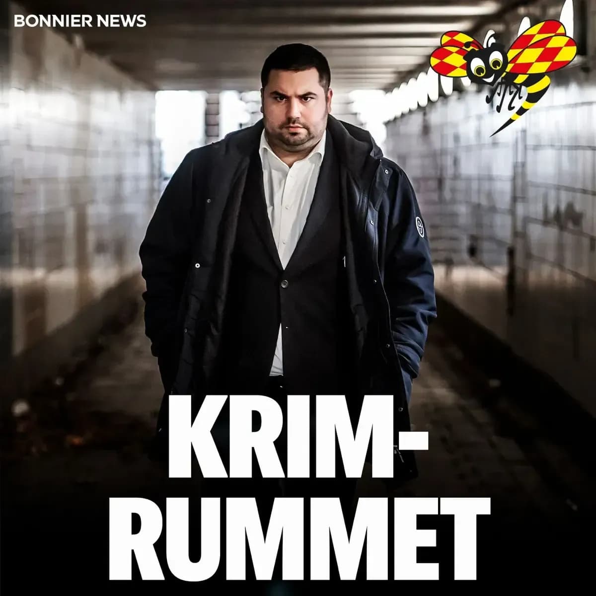 Krimrummet afslører komplekse svenske kriminalsager